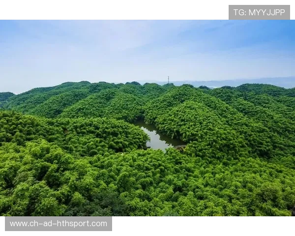 《电竞行业的绿色发展：绿色认证、低碳办赛理念推广》，电竞产业生态