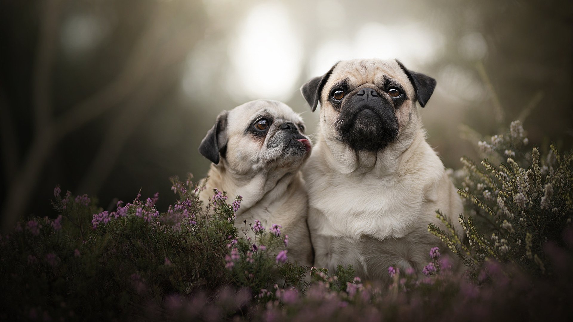 华体会在线登录-外援政策频繁调整扰乱发展，外援 要害