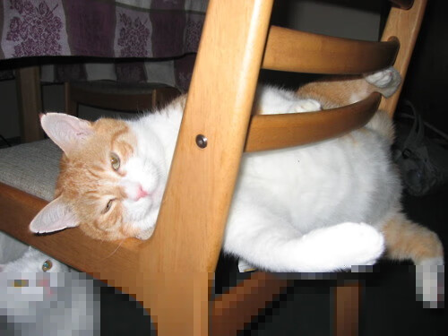 校园足球摄影大赛激发学生参与热情,足球摄影获奖作品