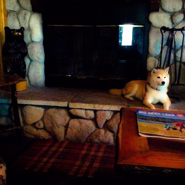 球队积分缩水是否总与防线频繁换人有关,球赛积分公式