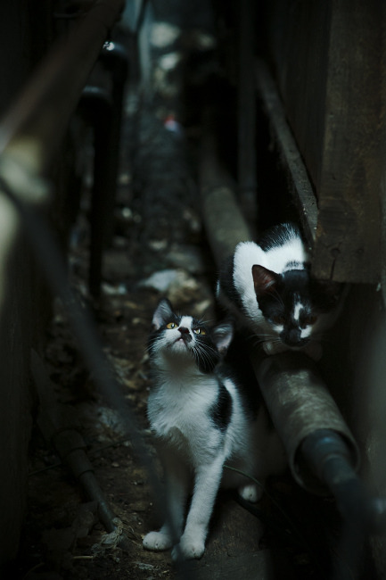 职业网球教练员等级评定标准发布，网球教练国家职业资格