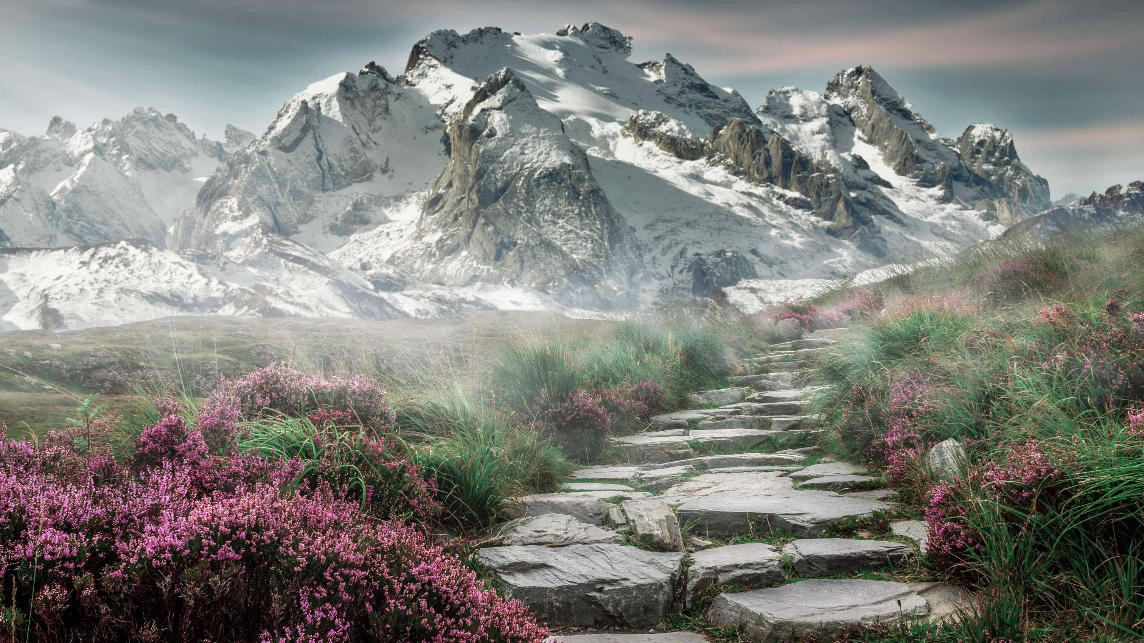 联赛争冠球队体能分配与战术布置相关性，联赛体制