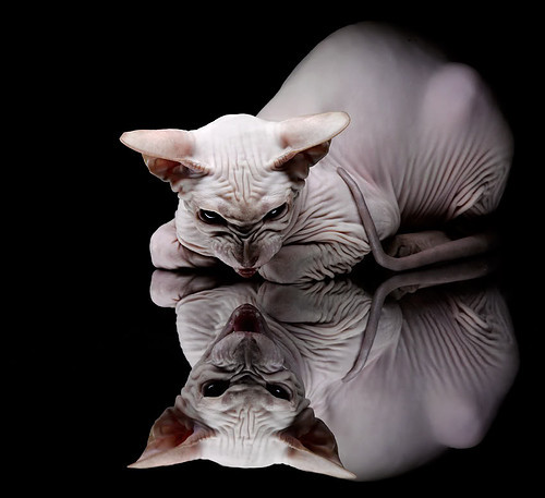 足球俱乐部青训投入增加，足球青训俱乐部规章制度