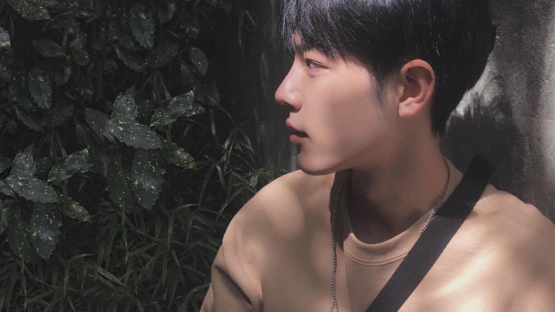 世界杯史诗战役:经典瞬间永不褪色!,盘点世界杯