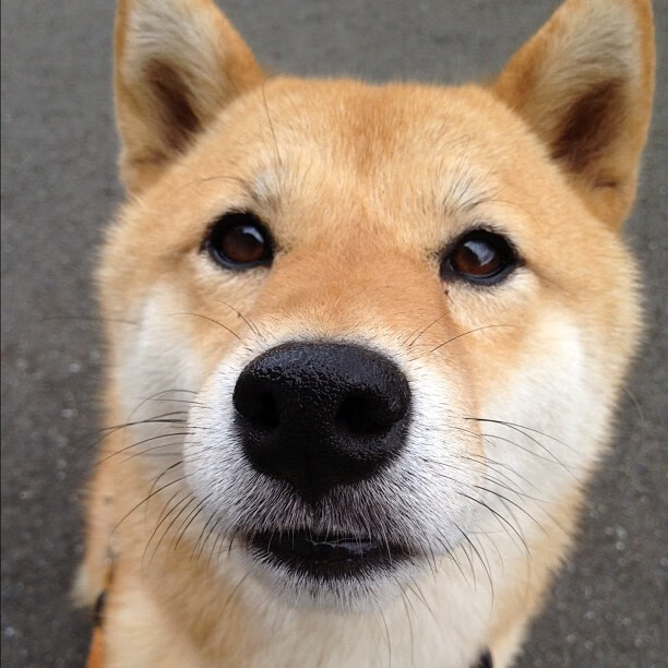 以足球为载体的社区建设项目,为城市增添新活力,以足球为主题的活动