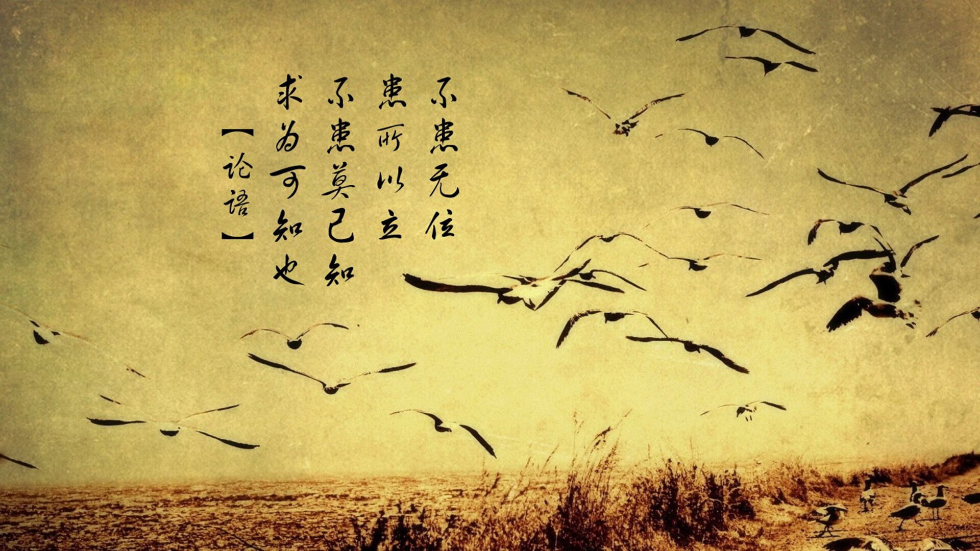 华体会-各地中小学加快建设标准篮球场地，小学篮球场地标准尺寸面积