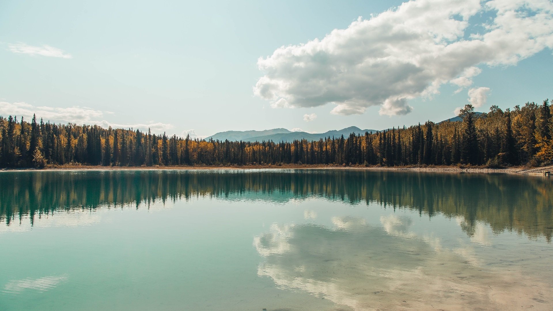 国家体操协会公布年度训练计划与人员调整情况,2021国家体操队