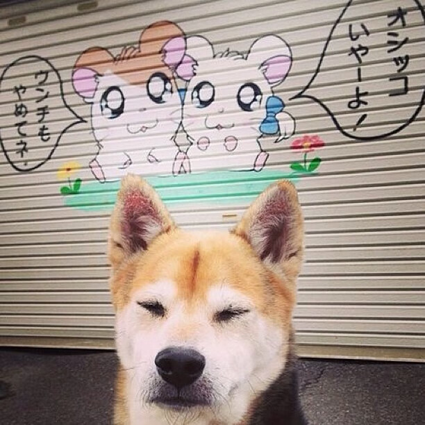 李娜参加访谈节目谈母亲角色，李娜en