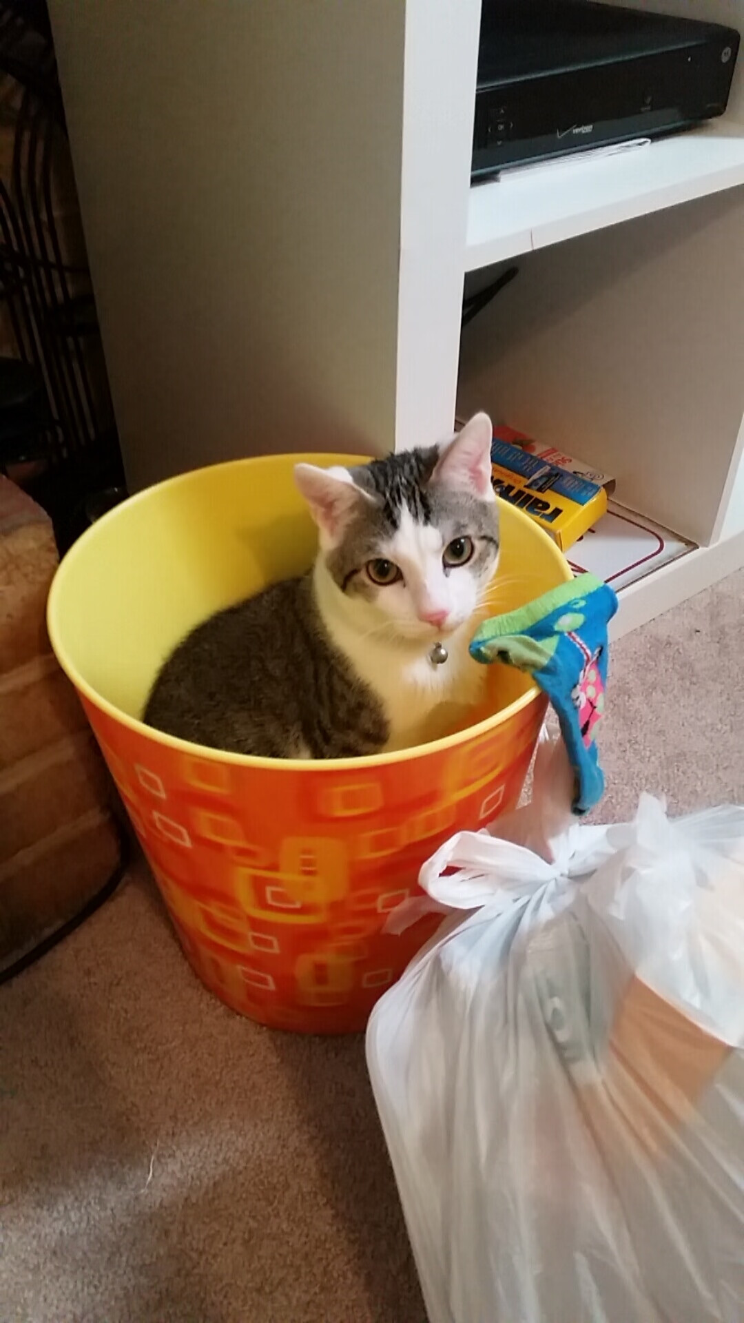 特色足球商品在国际市场稳步扩大，推动体育产业出口，足球特色展示