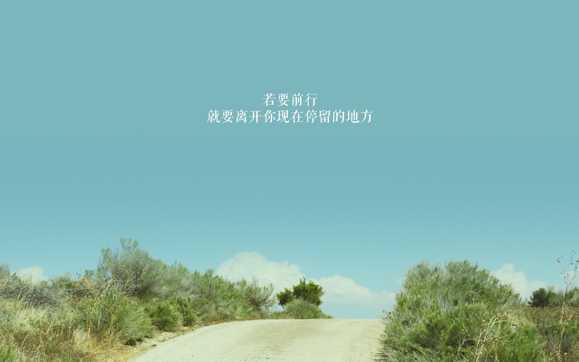 英超再现奇迹:逆境中迸发出神奇!,英超逆转夺冠