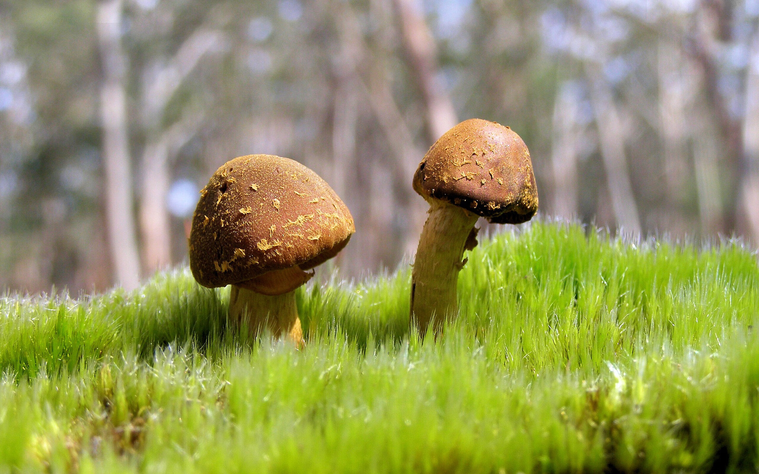 华体会登录地址-中国足球女足替补阵容在关键比赛中的表现评估，中国女足换主力